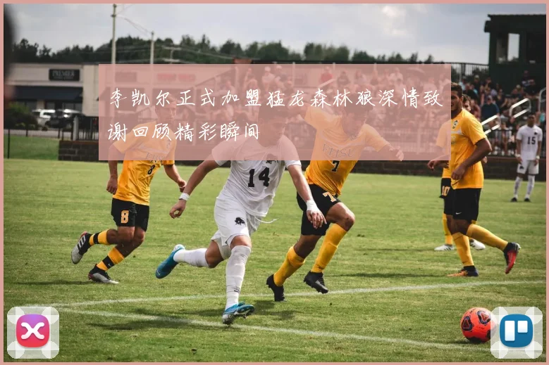 李凯尔正式加盟猛龙森林狼深情致谢回顾精彩瞬间